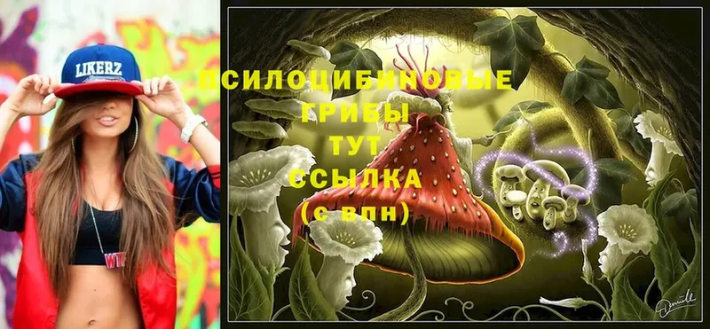 Псилоцибиновые грибы MAGIC MUSHROOMS  ОМГ ОМГ зеркало  Краснотурьинск  darknet формула  как найти наркотики 